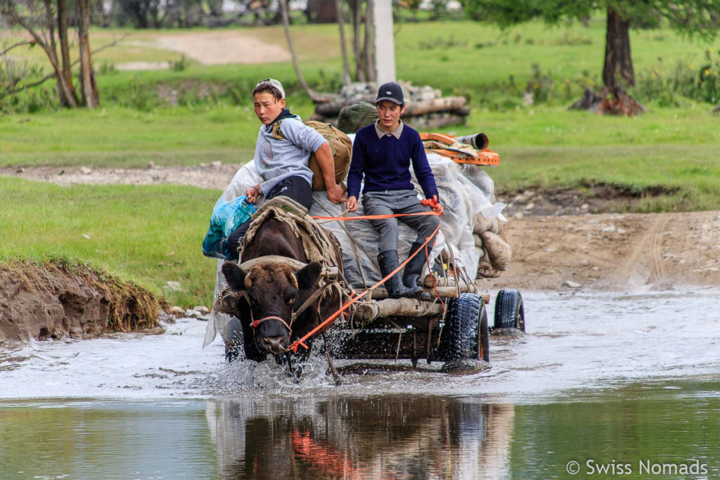 Unsere ersten Eindrücke aus der Mongolei