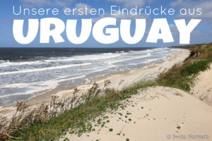 Read more about the article Unsere ersten Eindrücke aus Uruguay