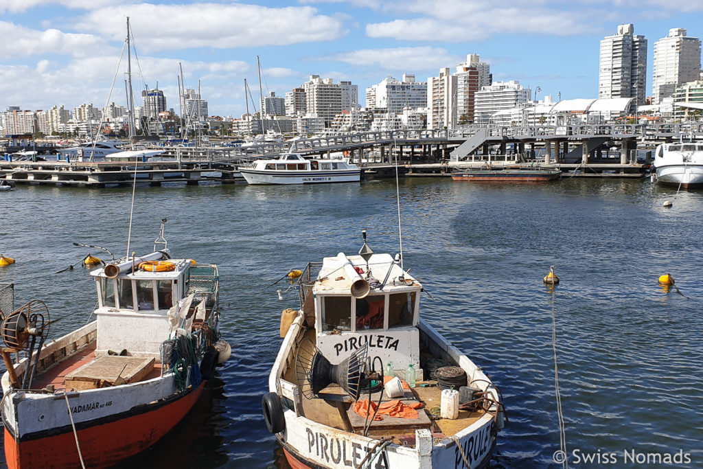 Hafen in Punta Del Este in Uruguay