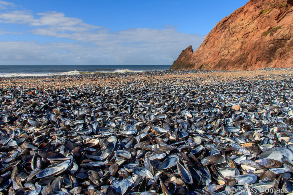 Strand in Uruguay bei Casapueblo