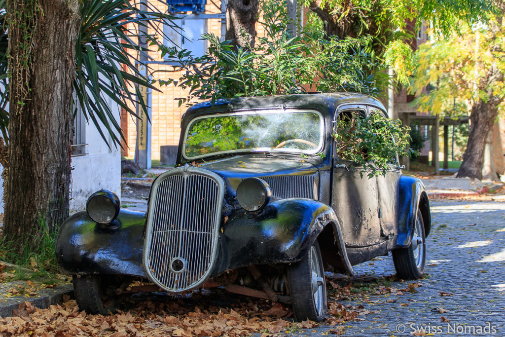 Colonia del Sacramento Auto