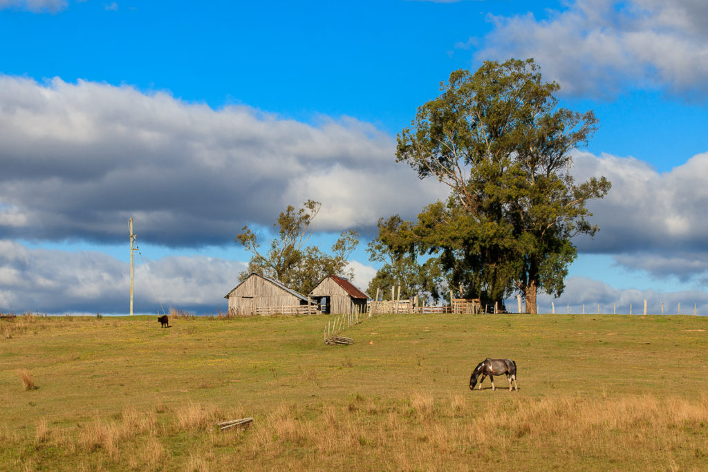 Uruguay Landschaft Norden