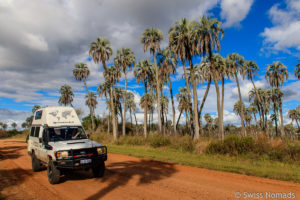 Mehr über den Artikel erfahren Der Parque Nacional El Palmar in Argentinien
