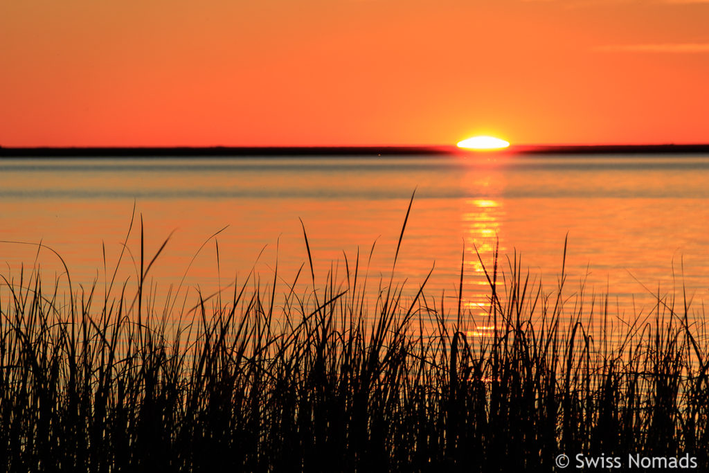 Sonnenuntergang ColoniaPellegrini