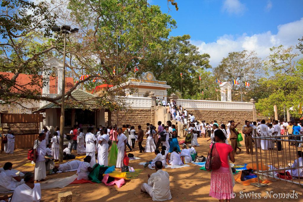 Sri Maha Bodhi Tree in Anuradhapura