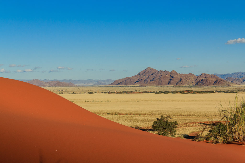 Elim Düne in der Namib Wüste