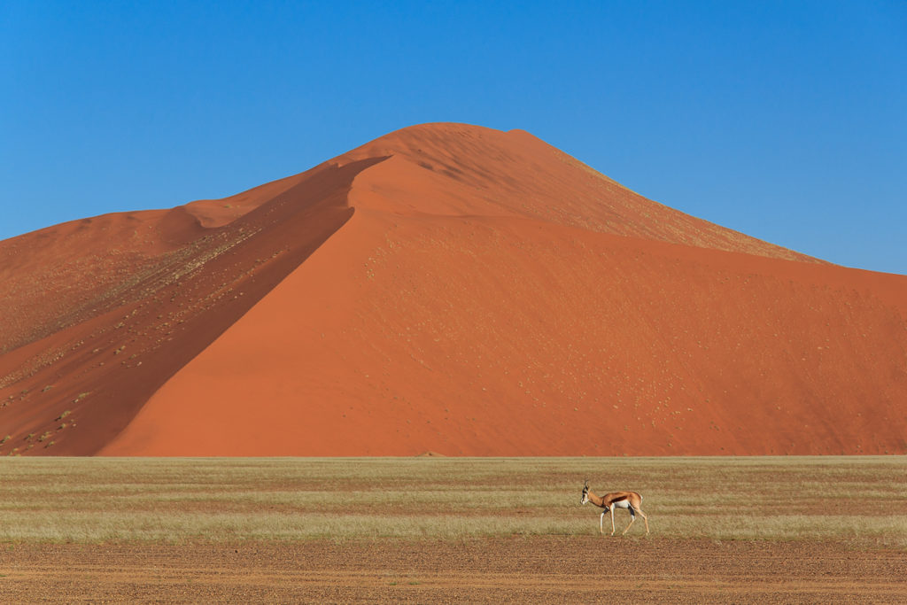 Die Namib Wüste