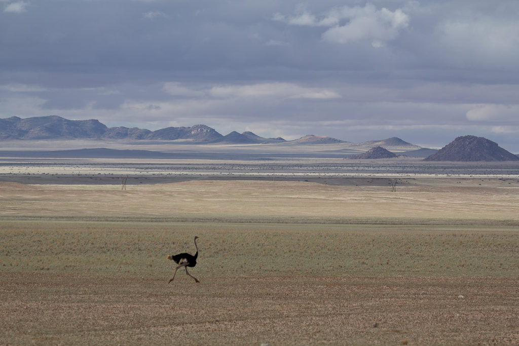 Weite Landschaft in Namibias Süden