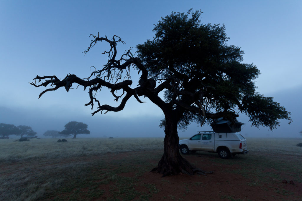 Nebel im Süden von Namibia