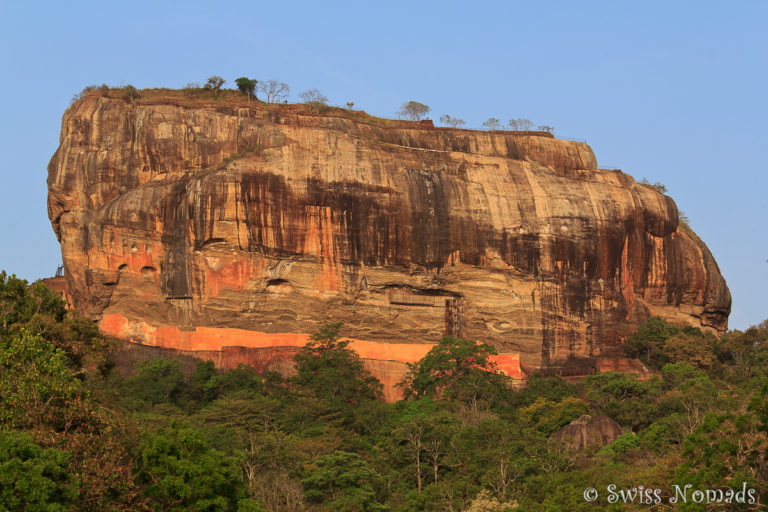 Sigiriya Rock Sri Lanka Löwen Felsen