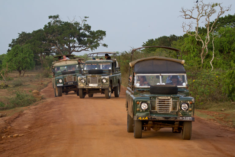 Safari im Yala Nationalpar in Sri Lanka