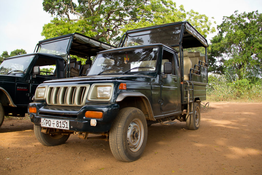 Fahrzeug Yala Nationalpark in Sri Lanka