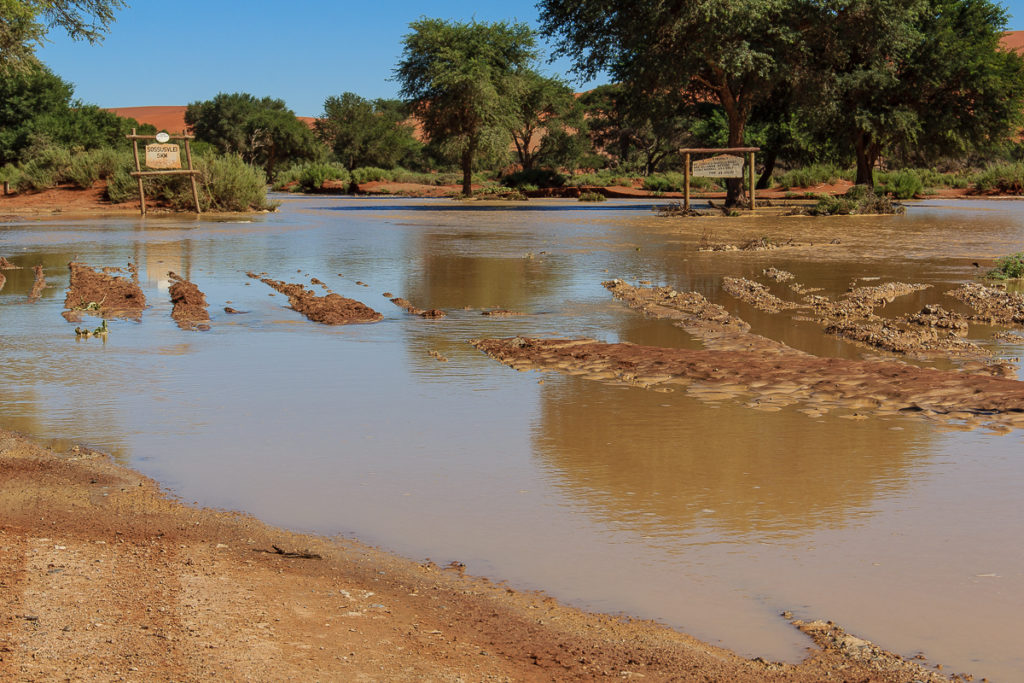 Zufahrt zum Sossusvlei in der Namib Wüste