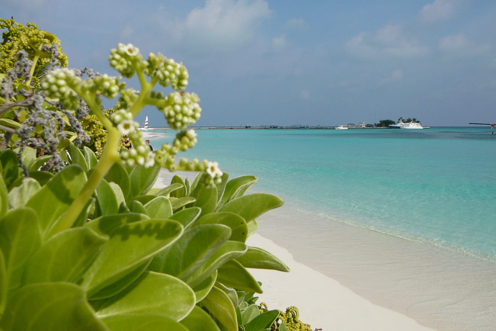 Erste Eindrücke der Malediven Insel Kuredu