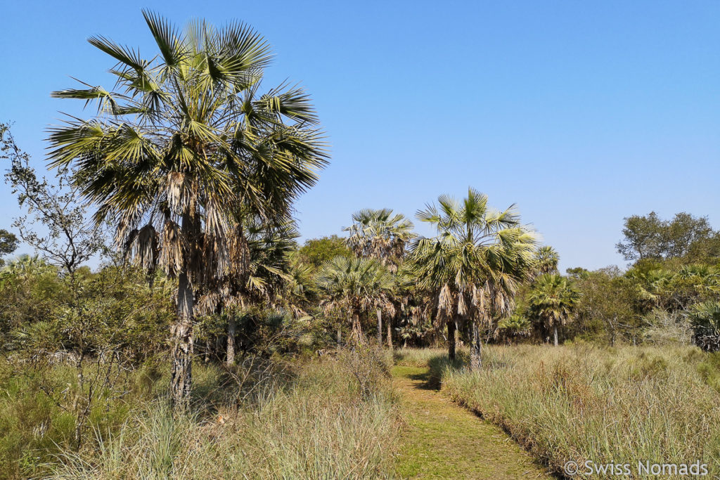 Landschaft im Rio Pilcomayo Nationalpark