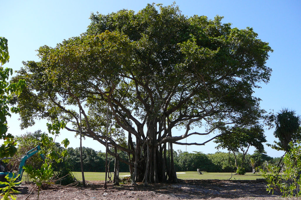 Golf Platz auf der Malediven Insel Kuredu