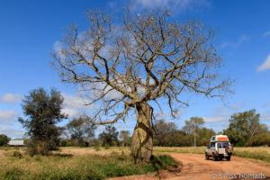 Mehr über den Artikel erfahren Paraguay Sehenswürdigkeiten mit dem eigenen Fahrzeug