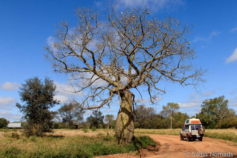 Paraguay Sehenswürdigkeiten mit dem eigenen Fahrzeug