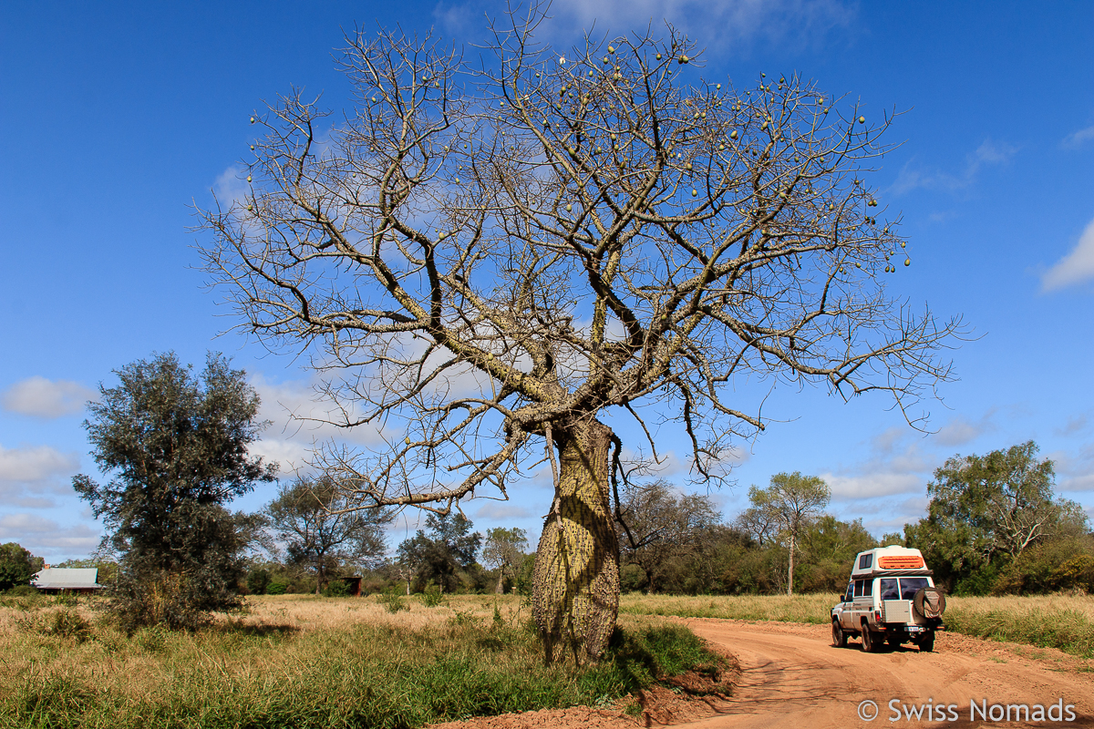 Mehr über den Artikel erfahren Paraguay Sehenswürdigkeiten mit dem eigenen Fahrzeug