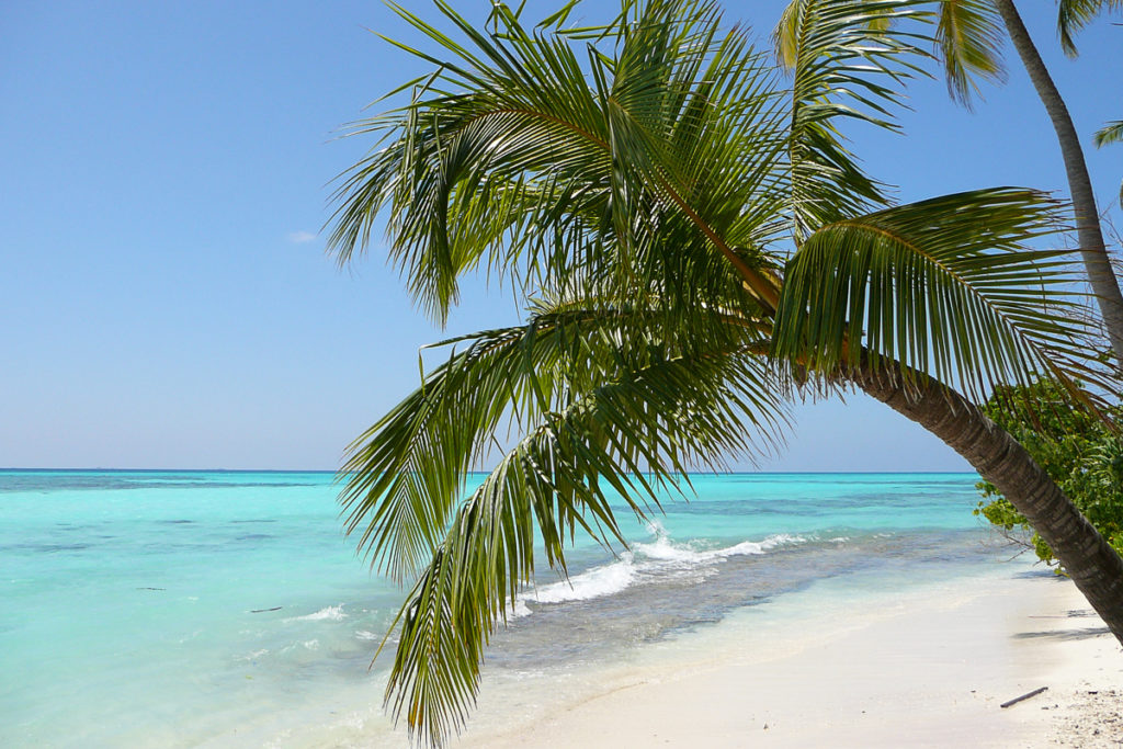 Strand auf den Malediven