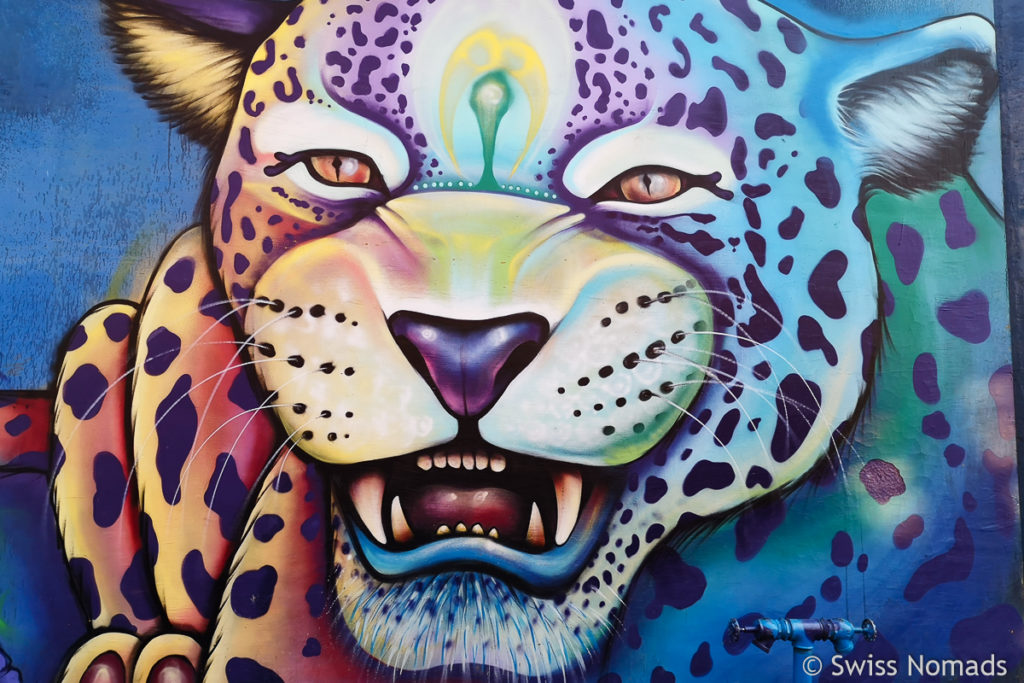 Street Art in Asuncion