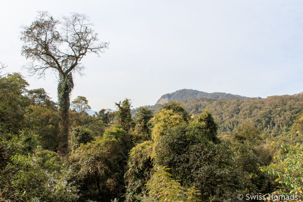 Aussicht bei unserer Wanderung im Calilegua Nationalpark