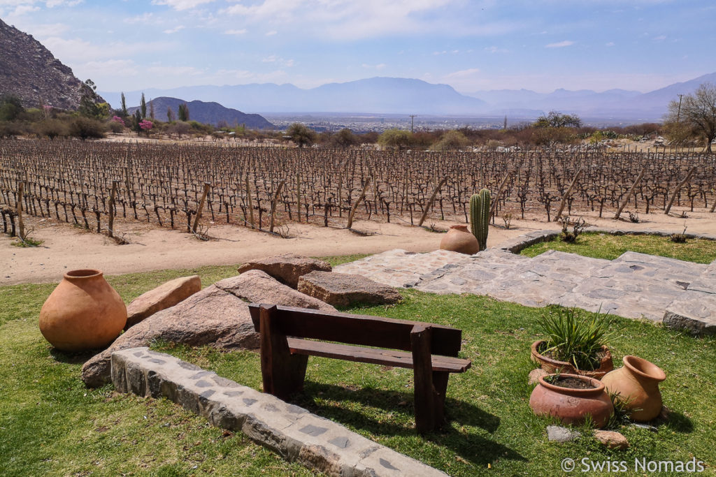 Cafayate Argentinien Weinanbaugebiet