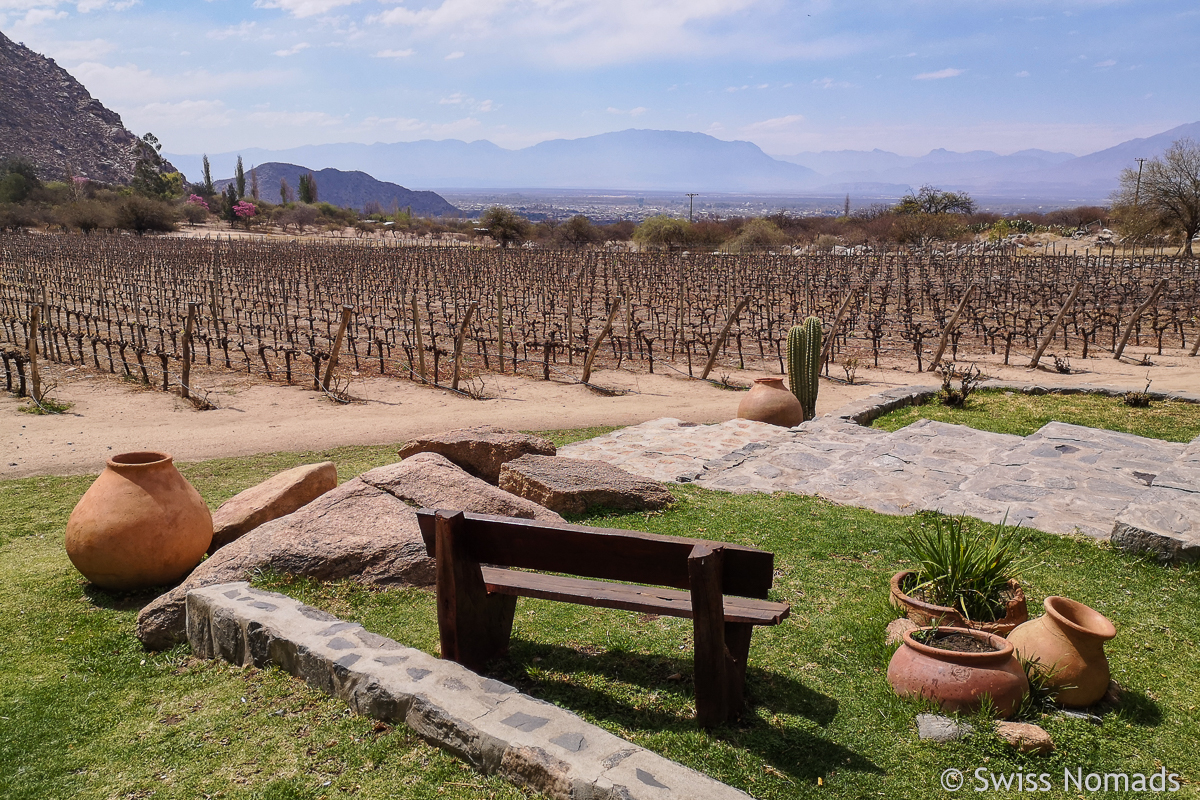 Read more about the article Cafayate, Argentinien – Sehenswürdigkeiten und Tipps für die Weinregion
