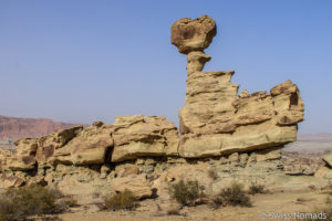 Read more about the article Lohnt sich ein Besuch in den Parks Ischigualasto und Talampaya?