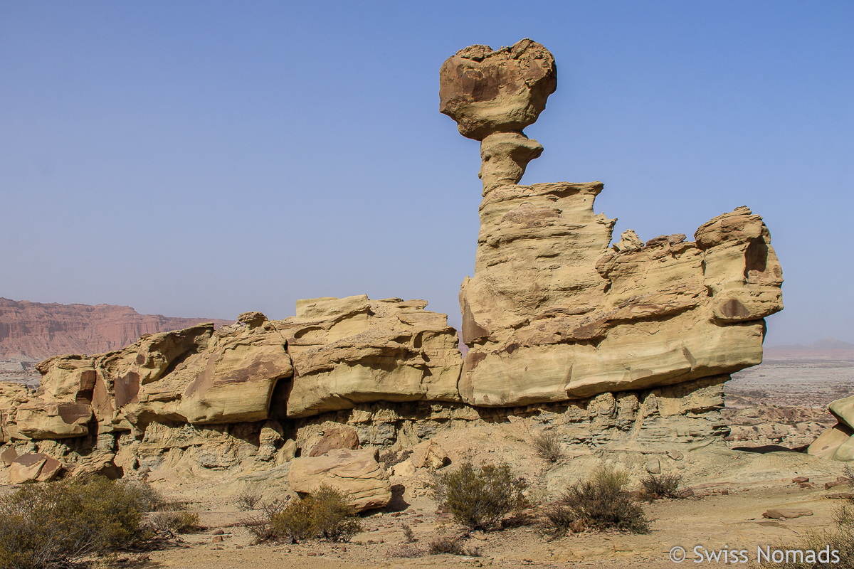 Mehr über den Artikel erfahren Lohnt sich ein Besuch in den Parks Ischigualasto und Talampaya?