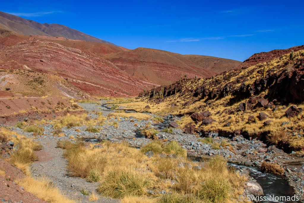 Rio Calchaqui in Argentinien