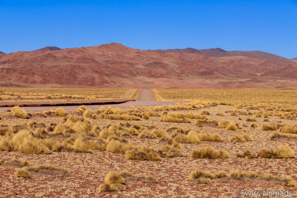 Hochwüste Puna in Argentinien