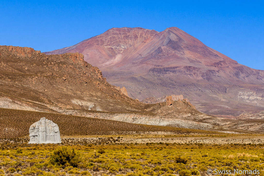 Puna Argentinien