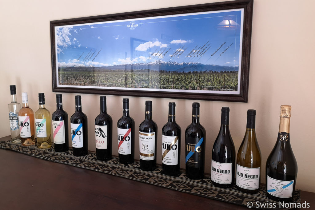 Weine von Ojo de Agua in Mendoza