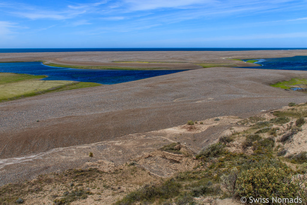 Ebbe bei Caleta Valdes