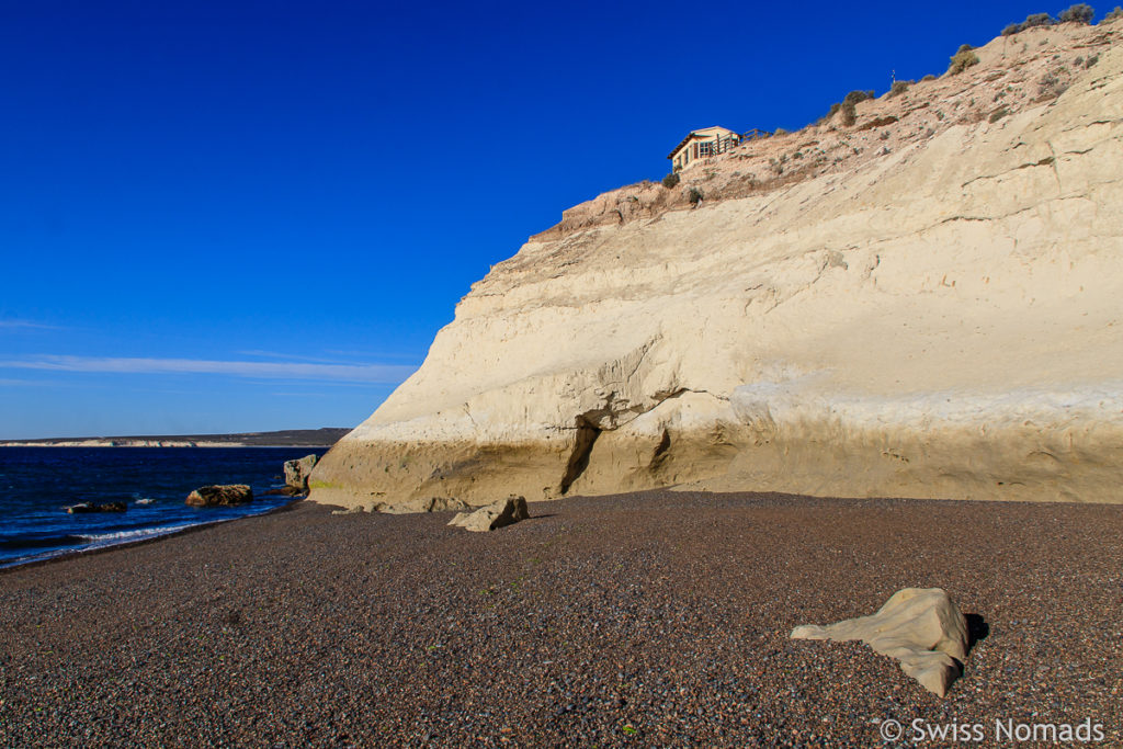 Punta Flecha Walbeobachtung