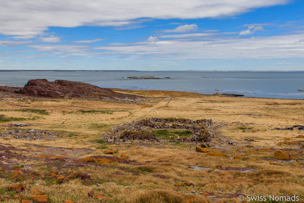 Aussicht Isla Pinguino