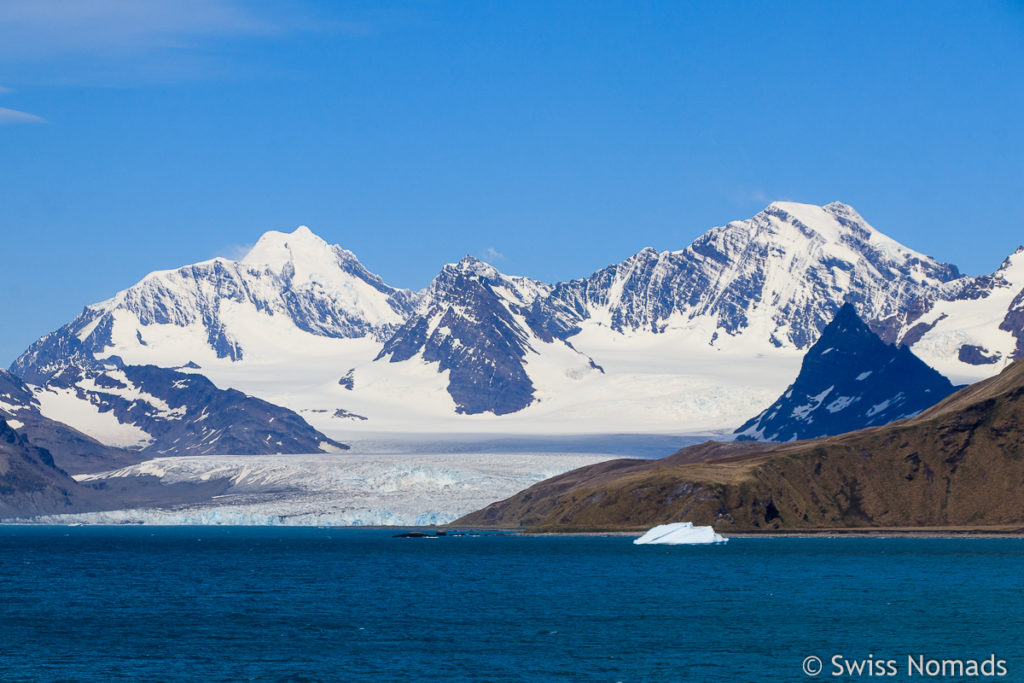 Gletscher in Südgeorgien