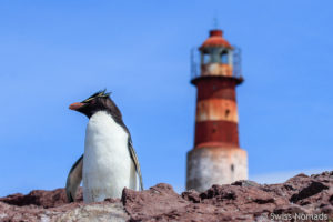 Read more about the article Bootstour von Puerto Deseado zur Pinguin Insel