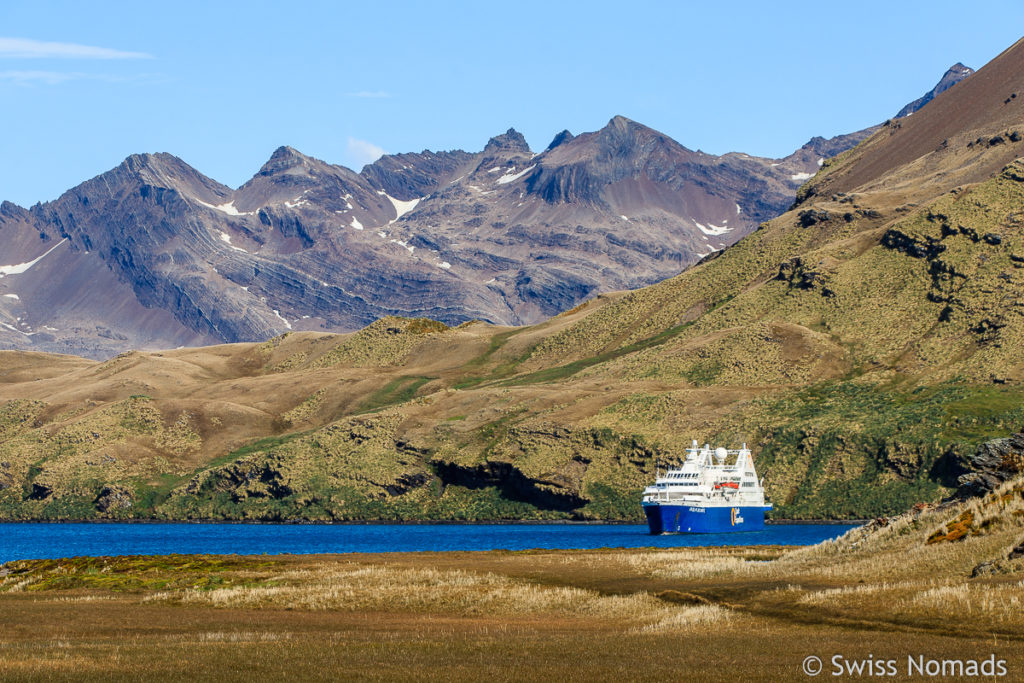 Expeditionsschiff in Südgeorgien