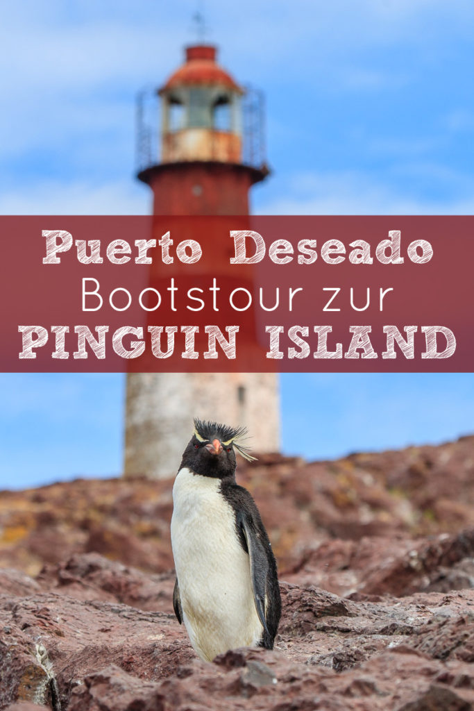 Puerto Deseado Bootstour zur Pinguin Insel