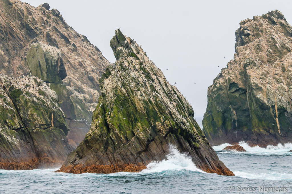 Shag Rocks in der Schottischen See