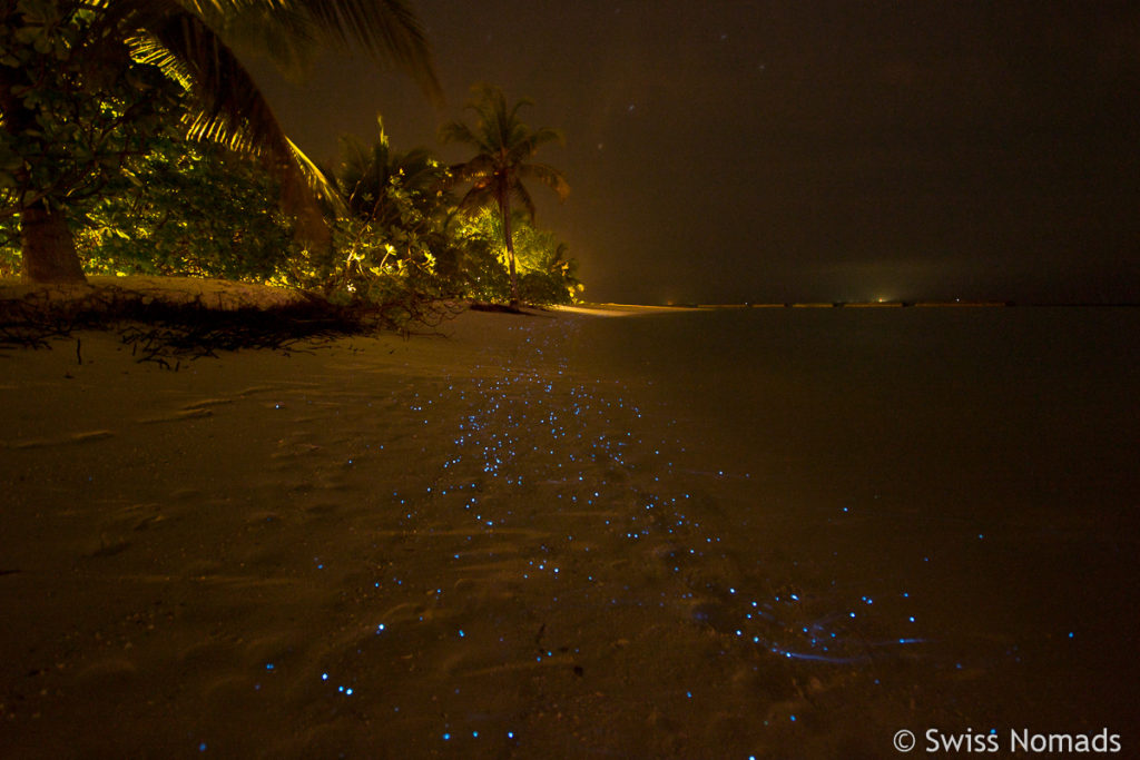 Bioluminiszierendes Plankton Malediven