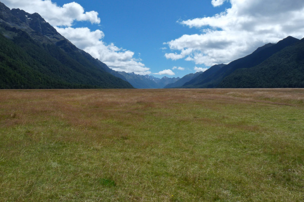 Fjordland Neuseeland Südinsel