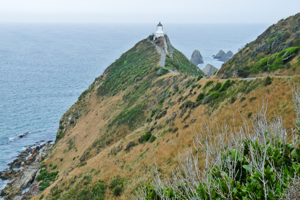 Nugget Point Leuchtturm Neuseeland