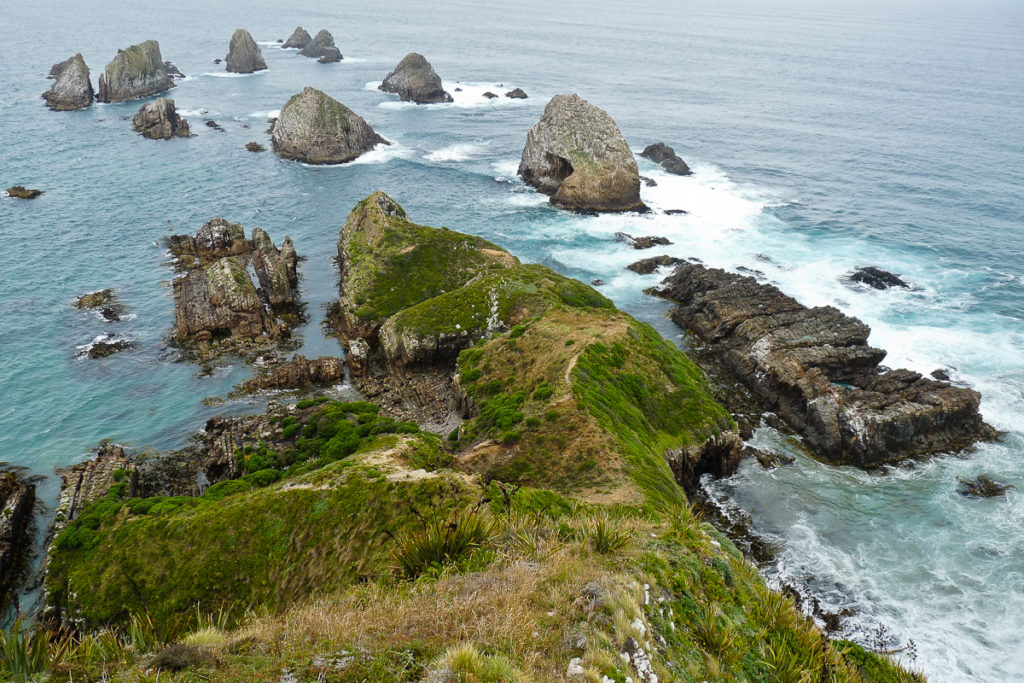 Nugget Point Neuseeland