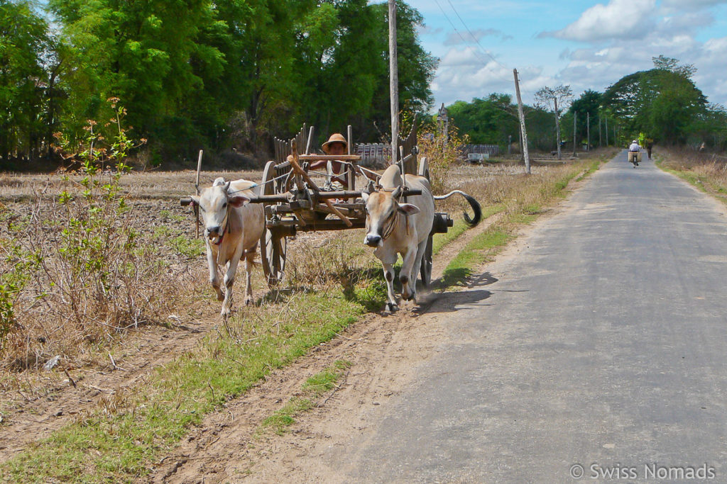 Bauer mit Ochsenkarren in Burma