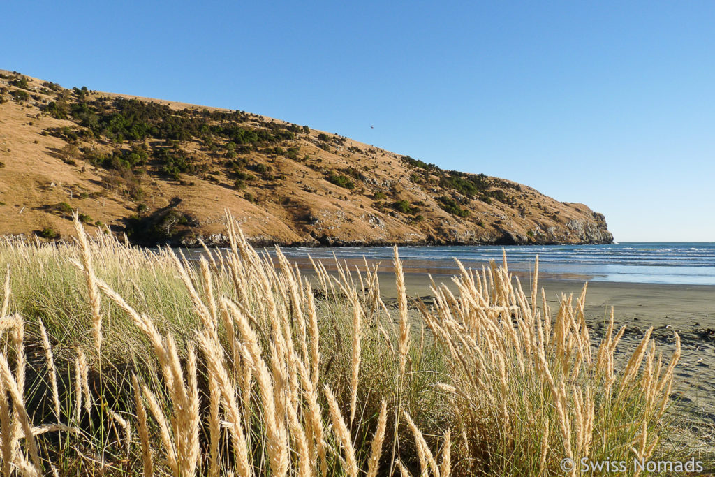 Okains Bay