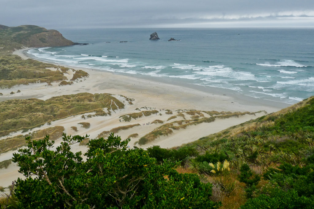 Sandfly Bay auf Otago Halbinsel 