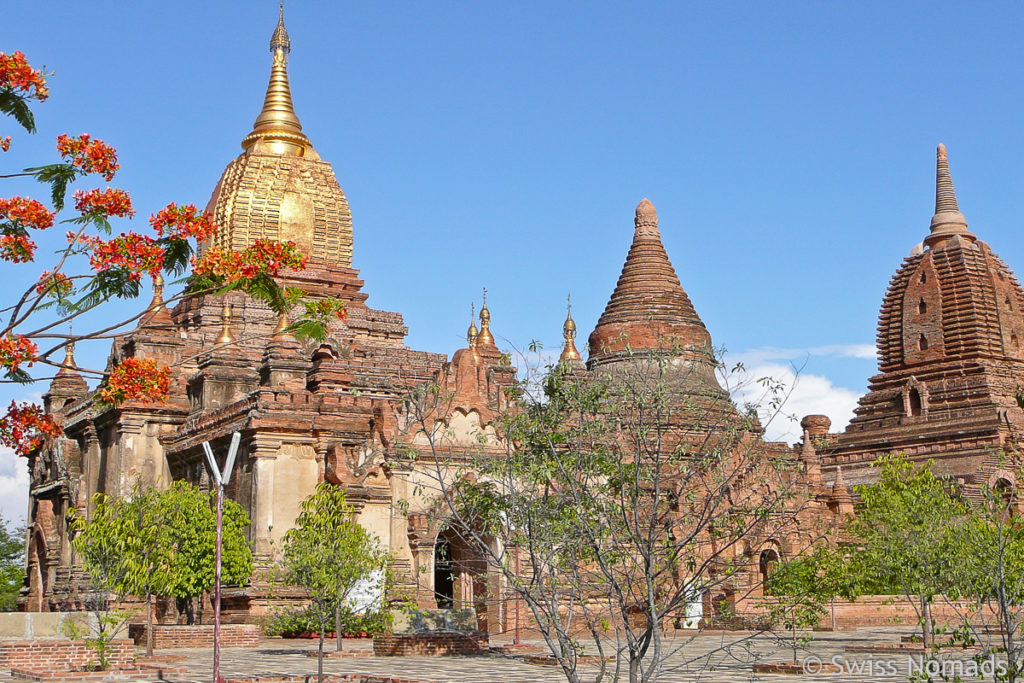 Tempel im Park von Bagan